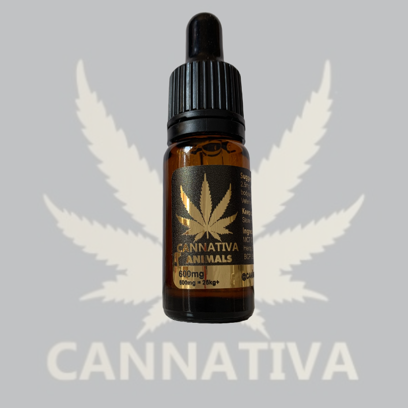 600mg CBD Pets (10ml) - Image 1
