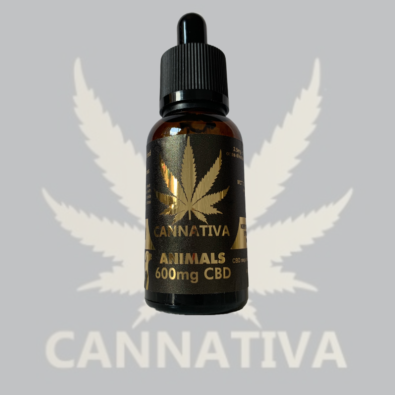 600mg CBD Pets (30ml) - Image 1